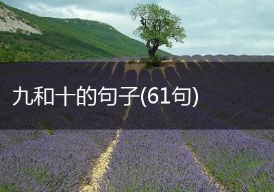 九和十的句子(61句)