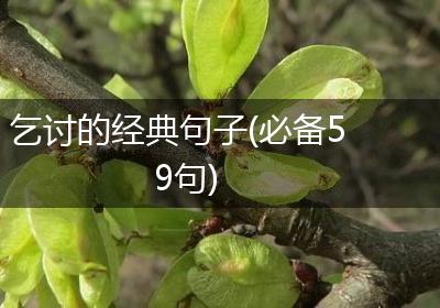 乞讨的经典句子(必备59句)