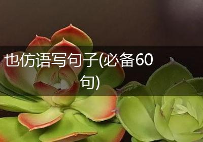 也仿语写句子(必备60句)