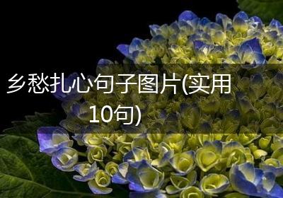乡愁扎心句子图片(实用10句)