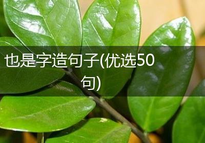 也是字造句子(优选50句)