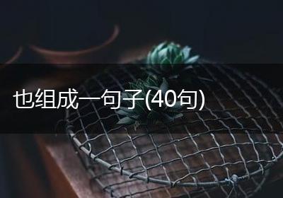 也组成一句子(40句)