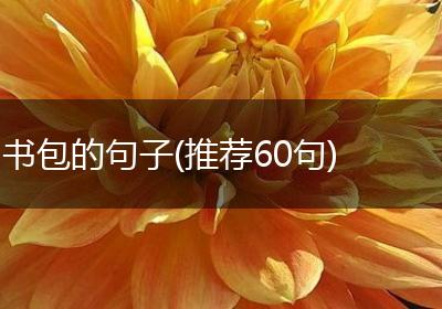 书包的句子(推荐60句)