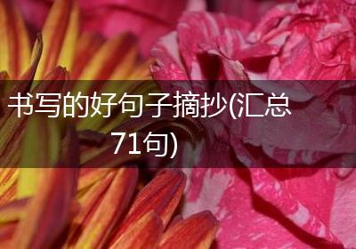 书写的好句子摘抄(汇总71句)