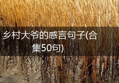 乡村大爷的感言句子(合集50句)