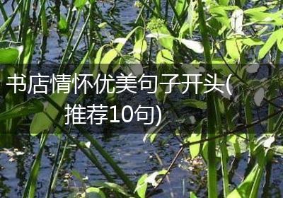书店情怀优美句子开头(推荐10句)