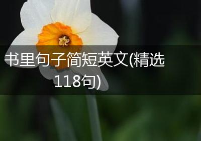 书里句子简短英文(精选118句)