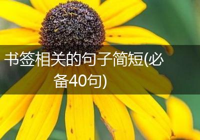 书签相关的句子简短(必备40句)
