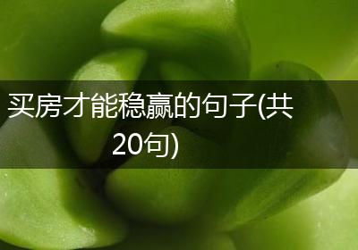 买房才能稳赢的句子(共20句)