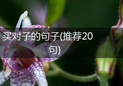 买对子的句子(推荐20句)