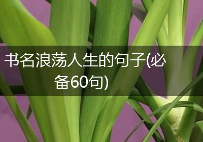 书名浪荡人生的句子(必备60句)