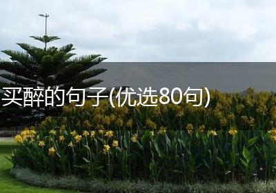 买醉的句子(优选80句)