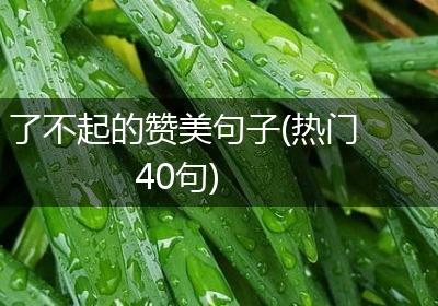 了不起的赞美句子(热门40句)