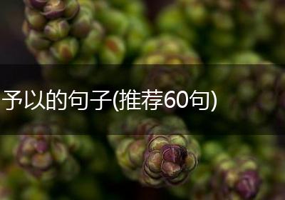 予以的句子(推荐60句)