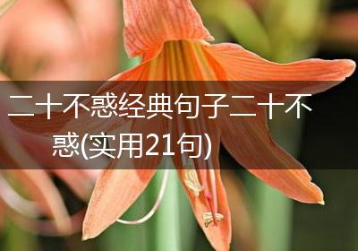 二十不惑经典句子二十不惑(实用21句)
