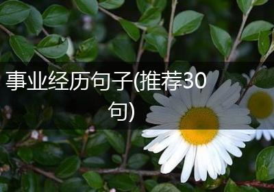 事业经历句子(推荐30句)