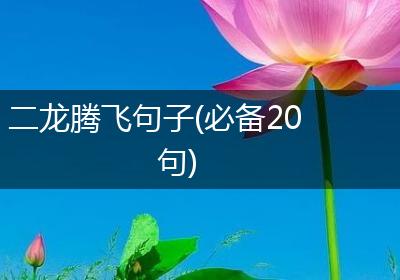 二龙腾飞句子(必备20句)