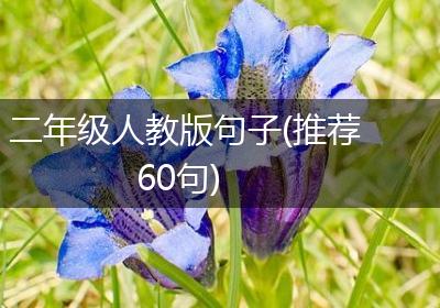 二年级人教版句子(推荐60句)