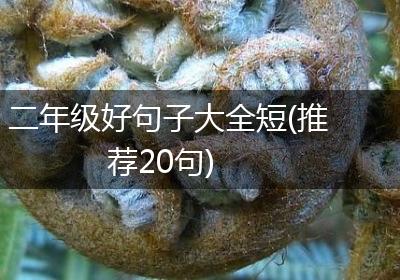 二年级好句子大全短(推荐20句)