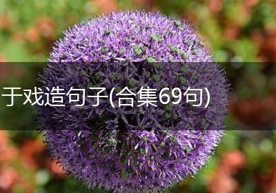 于戏造句子(合集69句)