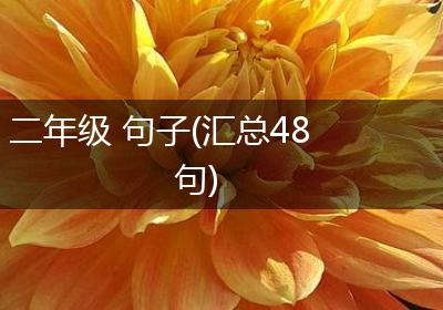 二年级 句子(汇总48句)