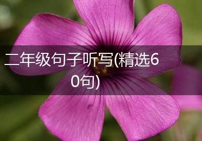 二年级句子听写(精选60句)