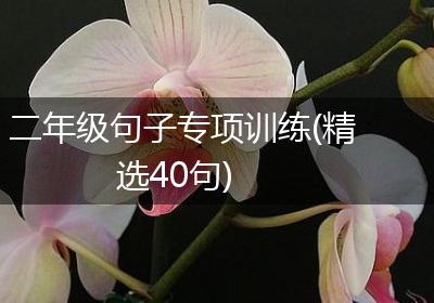 二年级句子专项训练(精选40句)