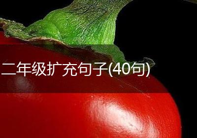 二年级扩充句子(40句)