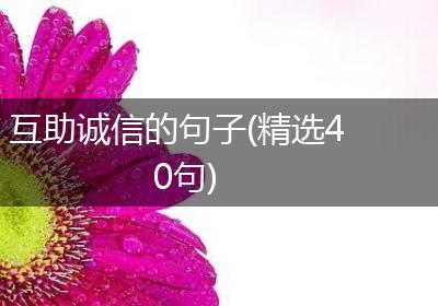 互助诚信的句子(精选40句)