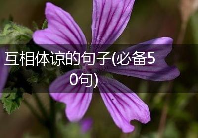 互相体谅的句子(必备50句)