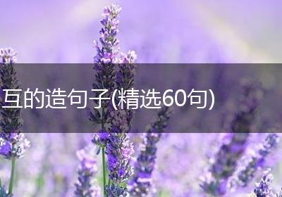 互的造句子(精选60句)