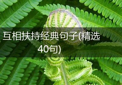 互相扶持经典句子(精选40句)
