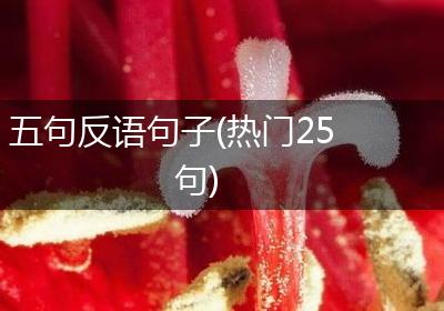 五句反语句子(热门25句)