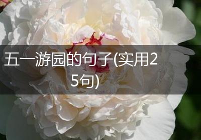 五一游园的句子(实用25句)