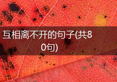 互相离不开的句子(共80句)