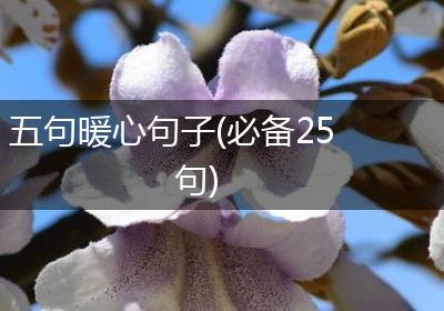 五句暖心句子(必备25句)