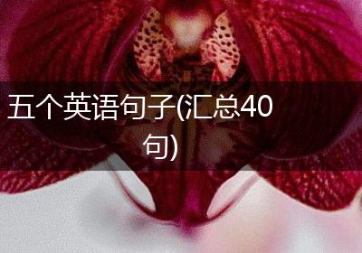 五个英语句子(汇总40句)