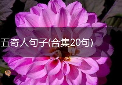 五奇人句子(合集20句)