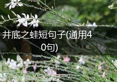 井底之蛙短句子(通用40句)