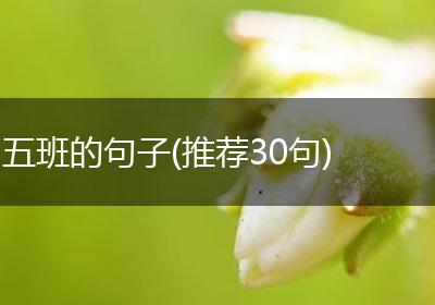 五班的句子(推荐30句)