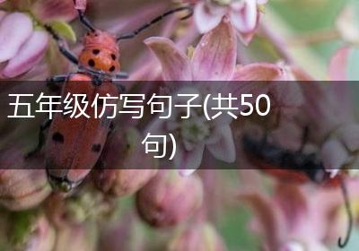 五年级仿写句子(共50句)