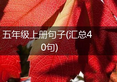 五年级上册句子(汇总40句)