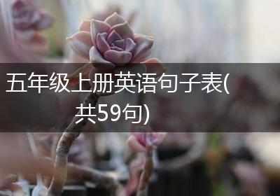 五年级上册英语句子表(共59句)