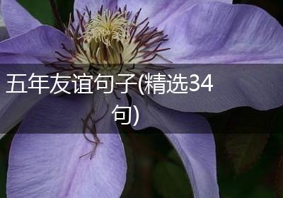 五年友谊句子(精选34句)