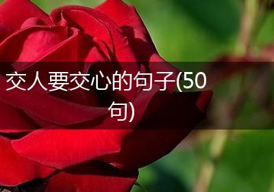 交人要交心的句子(50句)