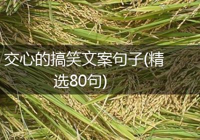 交心的搞笑文案句子(精选80句)