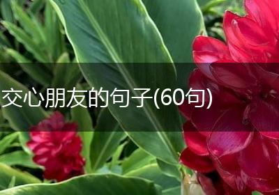 交心朋友的句子(60句)
