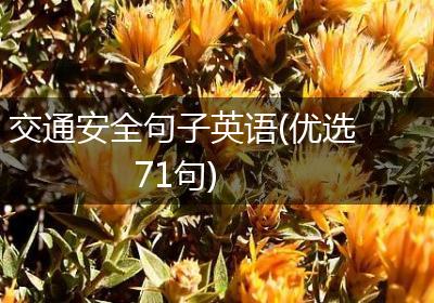 交通安全句子英语(优选71句)