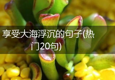 享受大海浮沉的句子(热门20句)