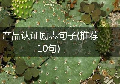 产品认证励志句子(推荐10句)